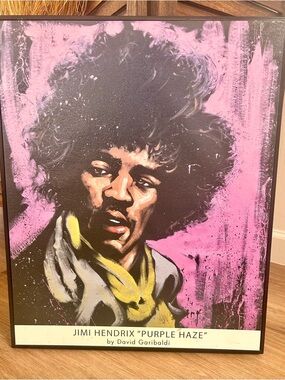 "Jimi Hendrix (Purple Haze)" Pop Art By David Garibaldi Framed On Board